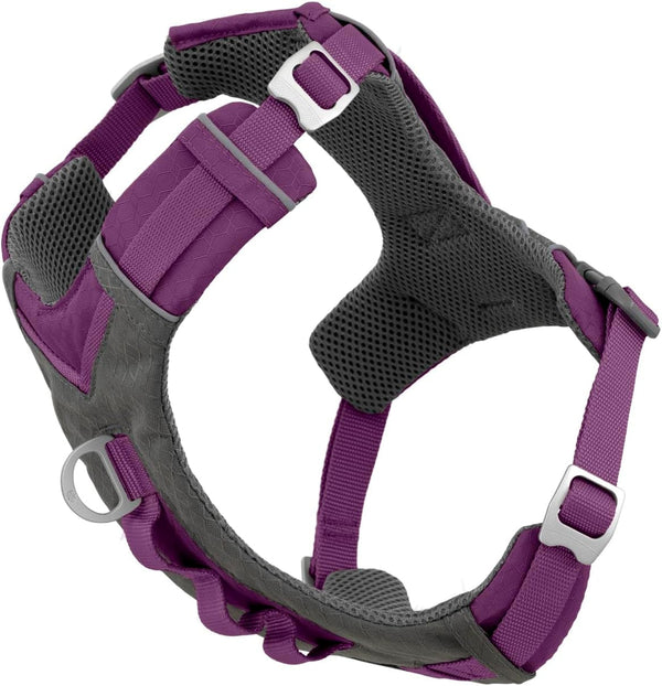 Kurgo Journey Air Dog Harness, Blue, Small | Padded Chest, Ripstop Outer & Breathable Mesh, Back Assist Handle, Rust-Free Aluminum Hardware, Reflective Trim18