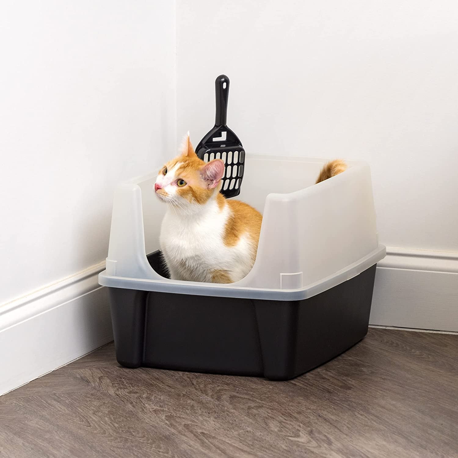 iris-usa-large-high-sided-cat-litter-box-scatter-shield-high-kickers-kick-proof-sides-extra-deep-pan-raised-edge-protection-keeps-floor-clean-easy-daily-scoop