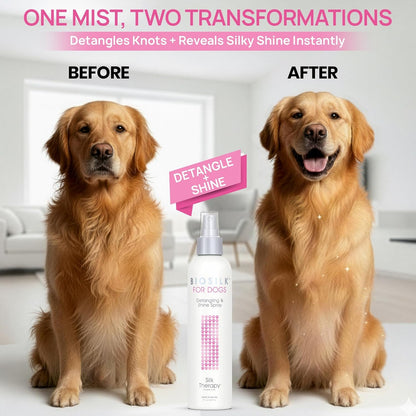 Biosilk for Dogs Silk Therapy Detangling and Shine Protecting Spray, Ph Balanced Leave-In Mist with Silk and Vitamins for Dematting, Paraben-Free, All Coats and Breeds, 8 Fl Oz | Ph-Balanced, Paraben-Free Leave-In Mist with Silk and Vitamins; Dematting Spray for All Coats and Breeds2