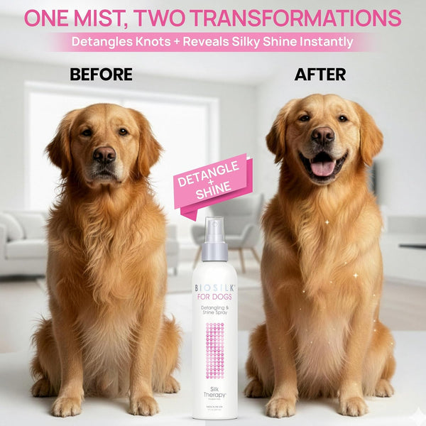 Biosilk for Dogs Silk Therapy Detangling and Shine Protecting Spray, Ph Balanced Leave-In Mist with Silk and Vitamins for Dematting, Paraben-Free, All Coats and Breeds, 8 Fl Oz | Ph-Balanced, Paraben-Free Leave-In Mist with Silk and Vitamins; Dematting Spray for All Coats and Breeds2