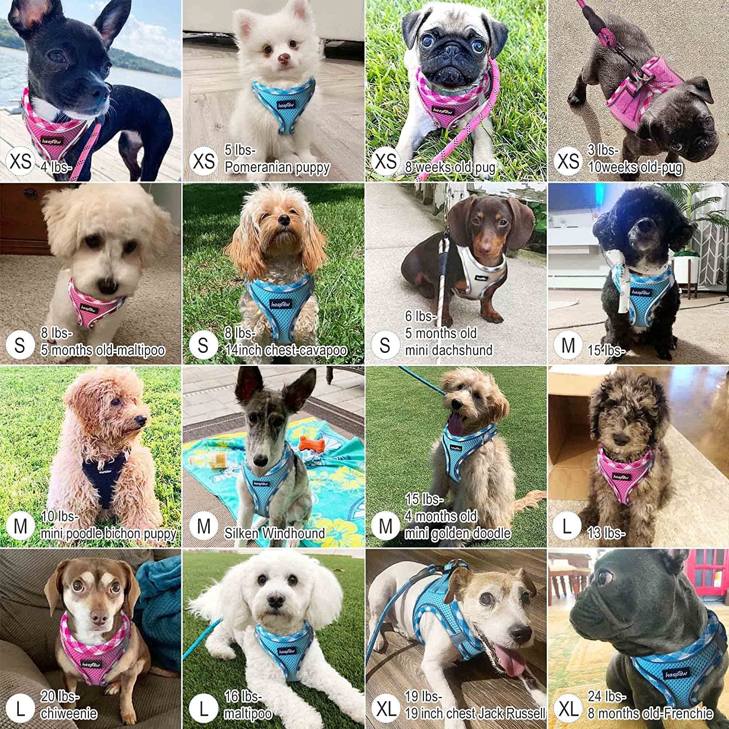 haapaw-dog-harness-with-leash-set-no-pull-adjustable-reflective-step-in-puppy-harness-with-thickened-padded-vest-for-extra-small-small-medium-dogs