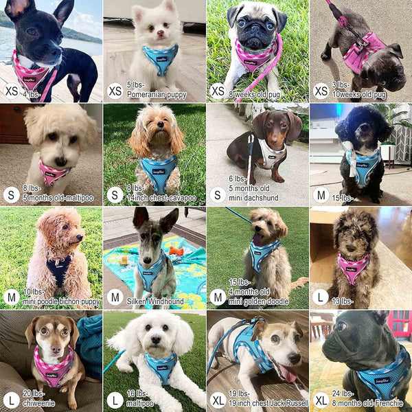 Haapaw Dog Harness with Leash Set, No Pull Adjustable Reflective Step-In Puppy Harness with Thickened Padded Vest for Extra-Small/Small Medium Dogs6