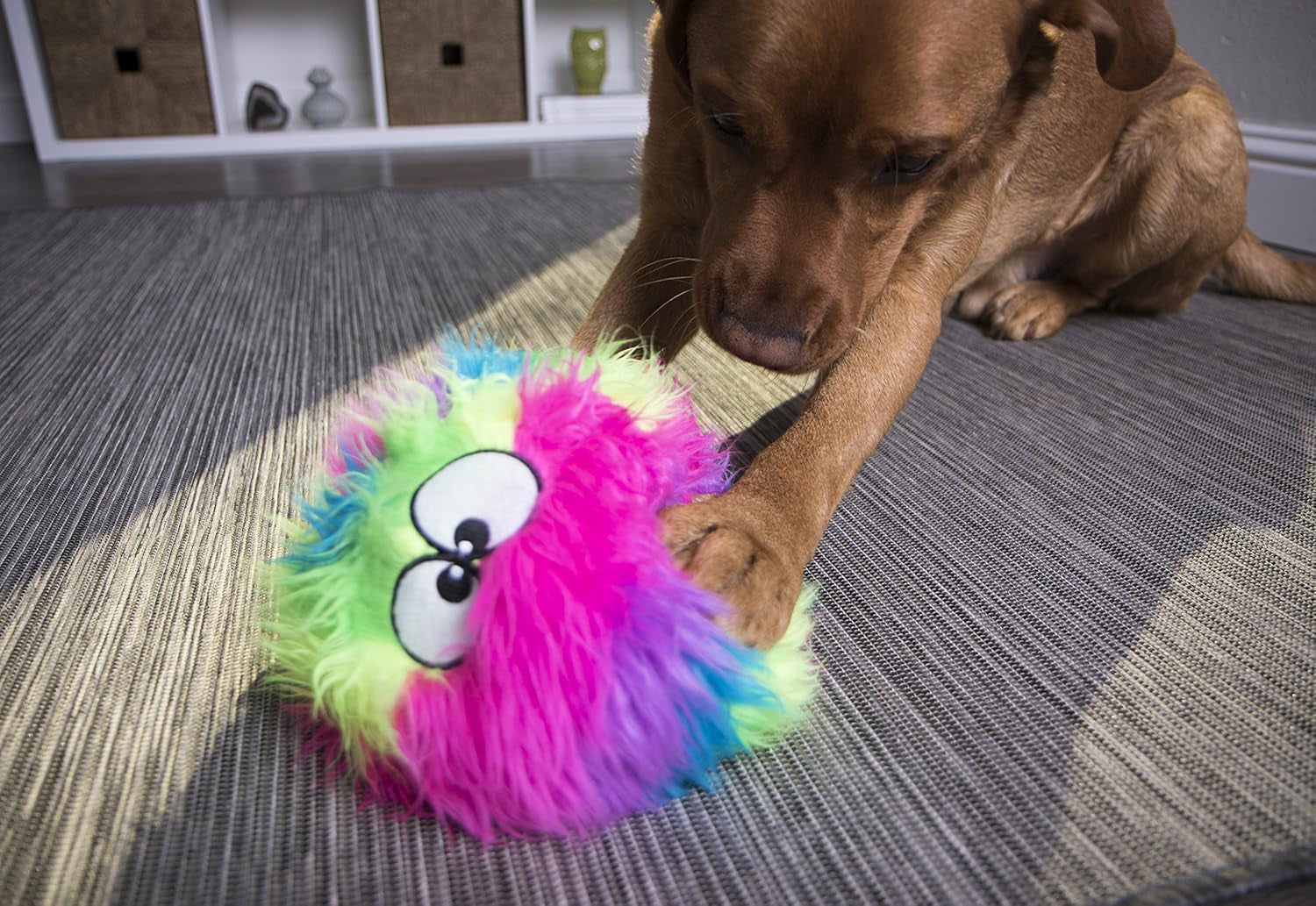 godog-furballz-squeaky-plush-ball-dog-toy-chew-guard-technology-rainbow-large