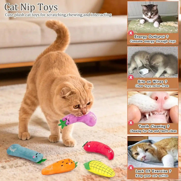 ETEKYER Catnip Cat Toys, 5 Pack, Plush Catnip Toys for Indoor Cats Kitten, Interactive Cat Nip Kitty Kicker Chew Safe Teeth Cleaning Toys, Fun Carrot Vegetable Shape3