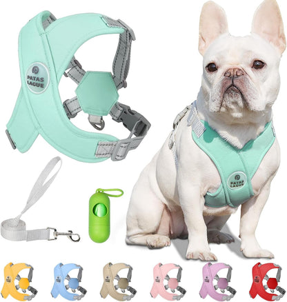 Patas Lague Dog Harness with Leash Set Adjustable Soft Padded Step-In Dog Vest No Choke No Pull Reflective for Small Medium Pets with Poop Bags and Dispenser, Solid and No-Chew, Pink M17