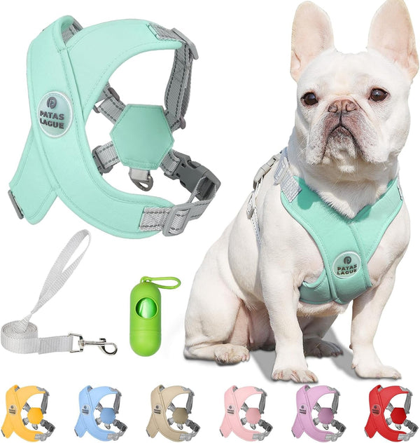 Patas Lague Dog Harness with Leash Set Adjustable Soft Padded Step-In Dog Vest No Choke No Pull Reflective for Small Medium Pets with Poop Bags and Dispenser, Solid and No-Chew, Pink M17