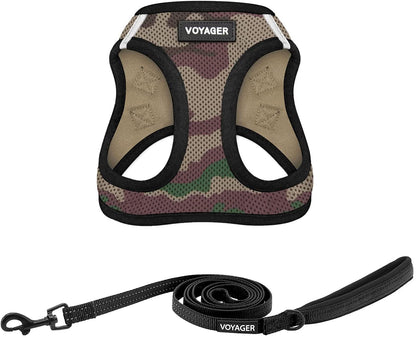 Best Pet Supplies Voyager Step-In Air All Weather Mesh Harness and Reflective Dog 5Ft Leash Combo with Neoprene Handle, for Small, Medium and Large Breed Puppies - Baby Blue, Small10