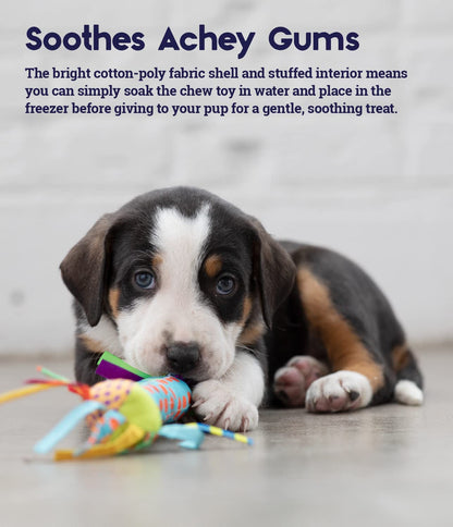 Cool Teething Stick – Puppy Chew Toy for 0–6 Month Puppies, Teething Relief, Freezable & Durable3