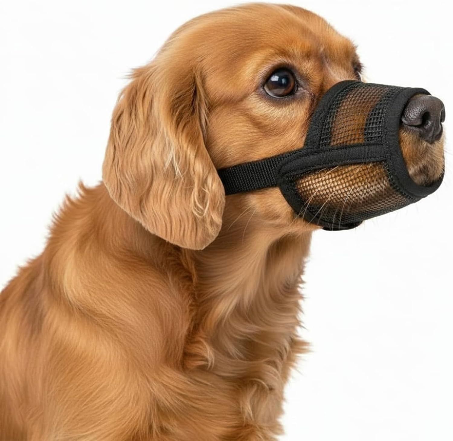 dog-muzzle-medium-sized-dogs-soft-muzzle-for-medium-sized-dog-with-air-mesh-mussle-to-stop-biting-barking-and-chewing-allows-panting-and-drinking