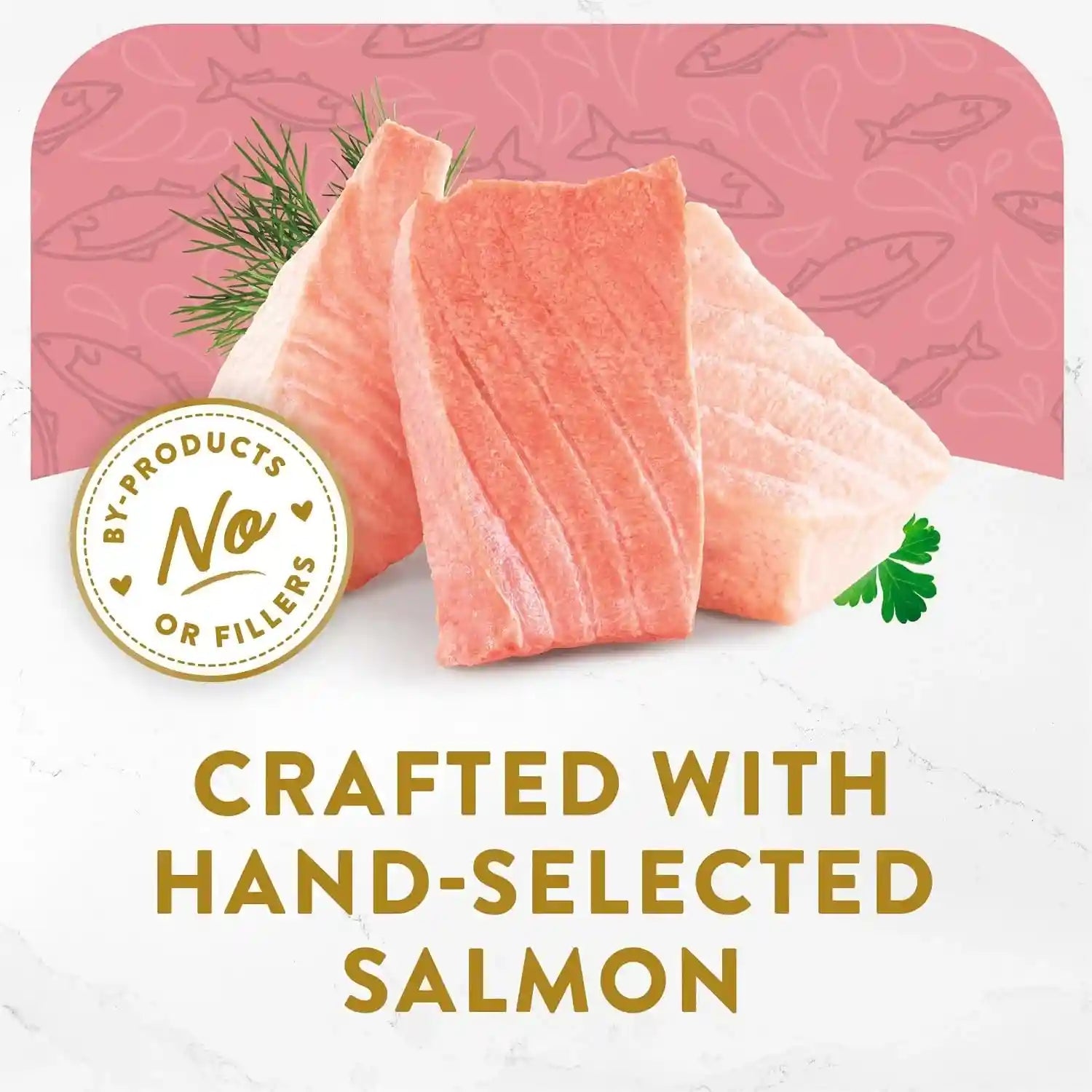 purina-fancy-feast-appetizers-lickable-grain-free-wet-cat-food-topper-wild-alaskan-salmon-appetizer-pack-of-10-1-1-oz-trays