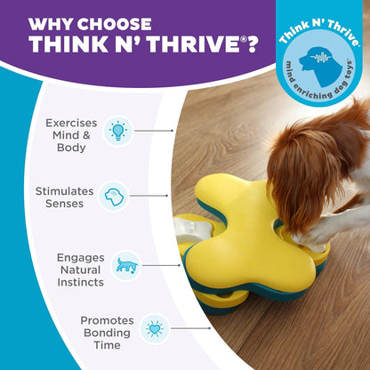 Outward Hound by Nina Ottosson Dog Tornado – Interactive Treat Puzzle Enrichment Toy, 3 Spinning Layers, Level 2 Intermediate7