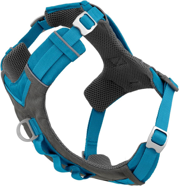 Kurgo Journey Air Dog Harness, Blue, Small | Padded Chest, Ripstop Outer & Breathable Mesh, Back Assist Handle, Rust-Free Aluminum Hardware, Reflective Trim12