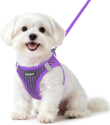 Eagloo Small Dog Harness and Leash Set, Step in Small Sized Puppy Pet Vest | Light, Soft, Breathable Air Mesh, Easy on and off with Hook & Loop, Reflective for Safe Walking, Pink, S23