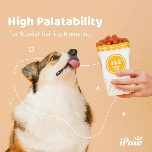 Ipaw Chicken Tots Dog Treat,Sqf-Certified Production Process,Training Treat | Puppy Training, Human Grade, Training Reward, Hypoallergenic, Easy to Digest5