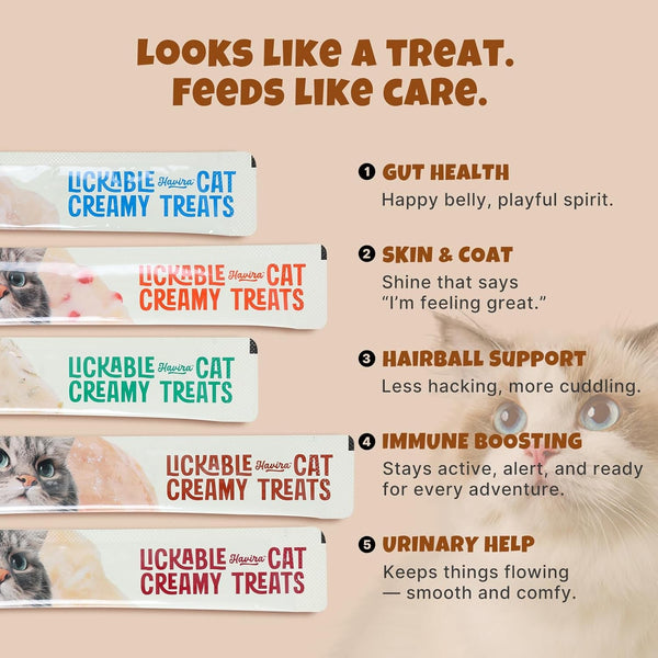 Havira Healthy Lickable Creamy Cat Treats Urinary Help – Chicken & Salmon Flavor Squeeze Treats with Cranberry & Dl-Methionine, Functional Snacks with Real Shredded Chicken, Grain Free4