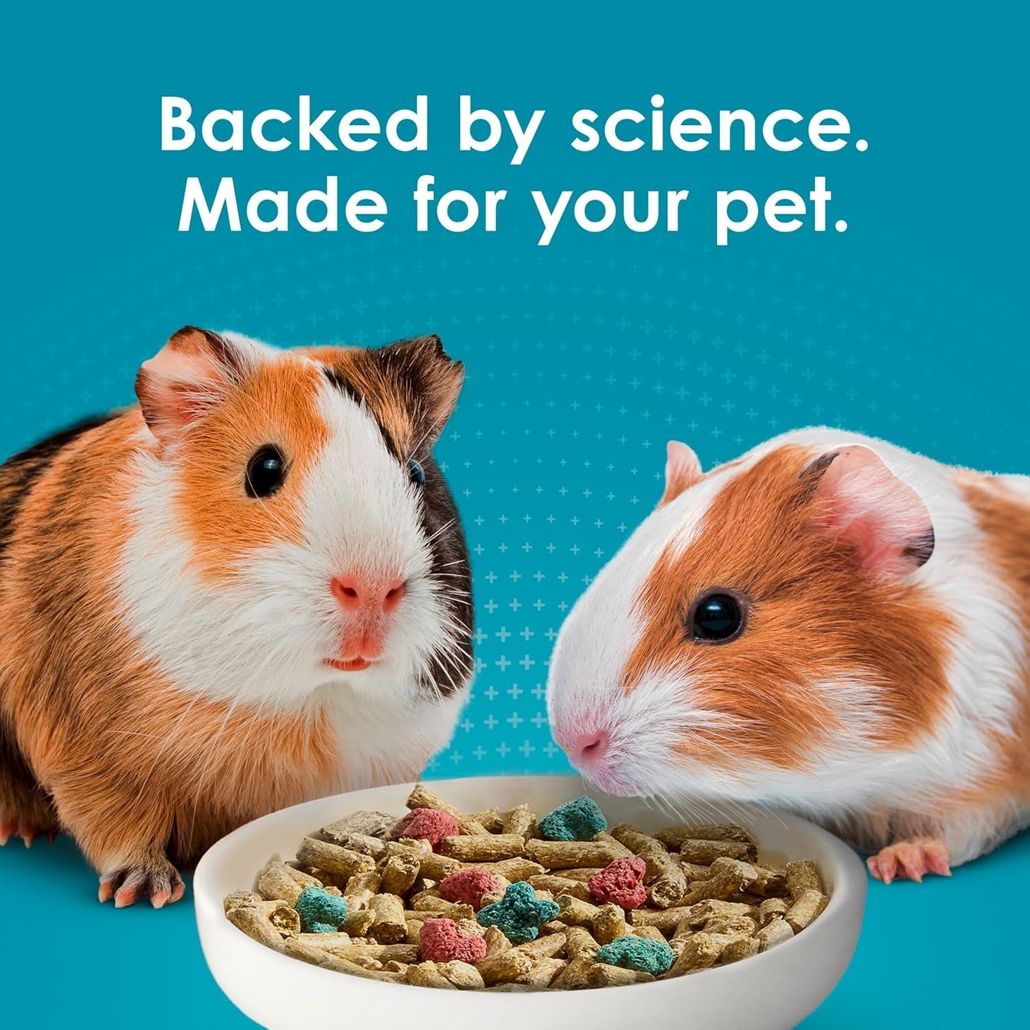 kaytee-forti-diet-pro-health-nourish-protect-guinea-pig-food-comprehensive-nutrition-backed-by-science-digestive-health-immune-support-5-pounds
