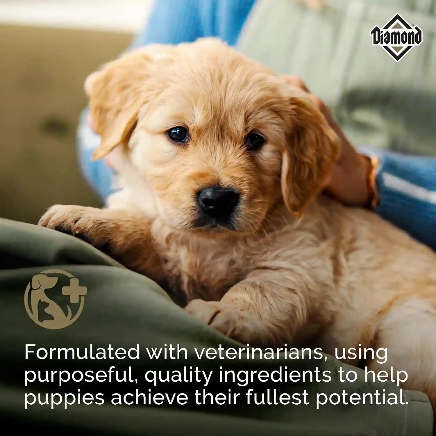 diamond-puppy-high-protein-dry-dog-food-chicken-protein-40lb-puppy-adult-senior-dogs-dha-for-proper-brain-vision-development-guaranteed-probiotics-for-digestive-support