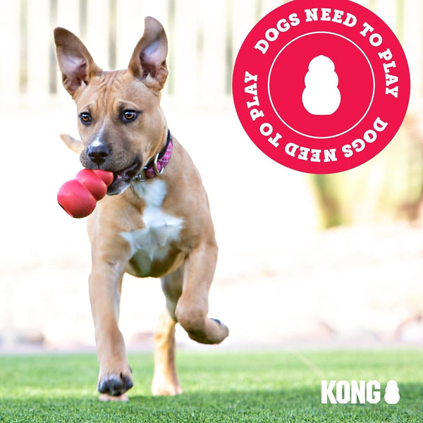 KONG Extreme Ball with Hole - Fetch Toy - Durable Dog Toy for Training, Interactive Playtime & More - Natural Extreme Rubber Ball - Black - for Medium/Large Dogs8