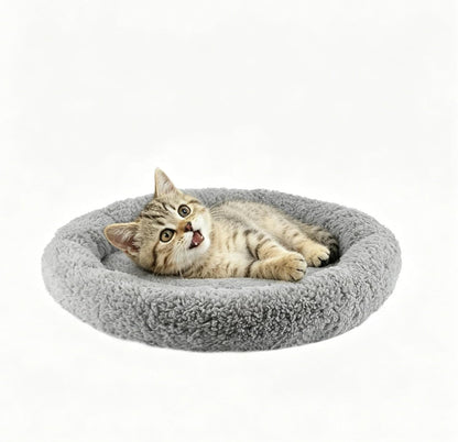 LESYPET Cat Bed for Indoor Cats, Soft Cat Cushion with Cat Pillow Around, Rectangle Kitten Pad Small Bed for Window Sill, 15'' X 10''11