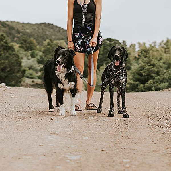 Mighty Paw Double Dog Leash, No Tangle Adjustable Split Lead for Two Dogs | Fits 0-100 Lb, 16-24 in Range, Reflective Stitching, Waterproof, Neoprene Padded Handle9