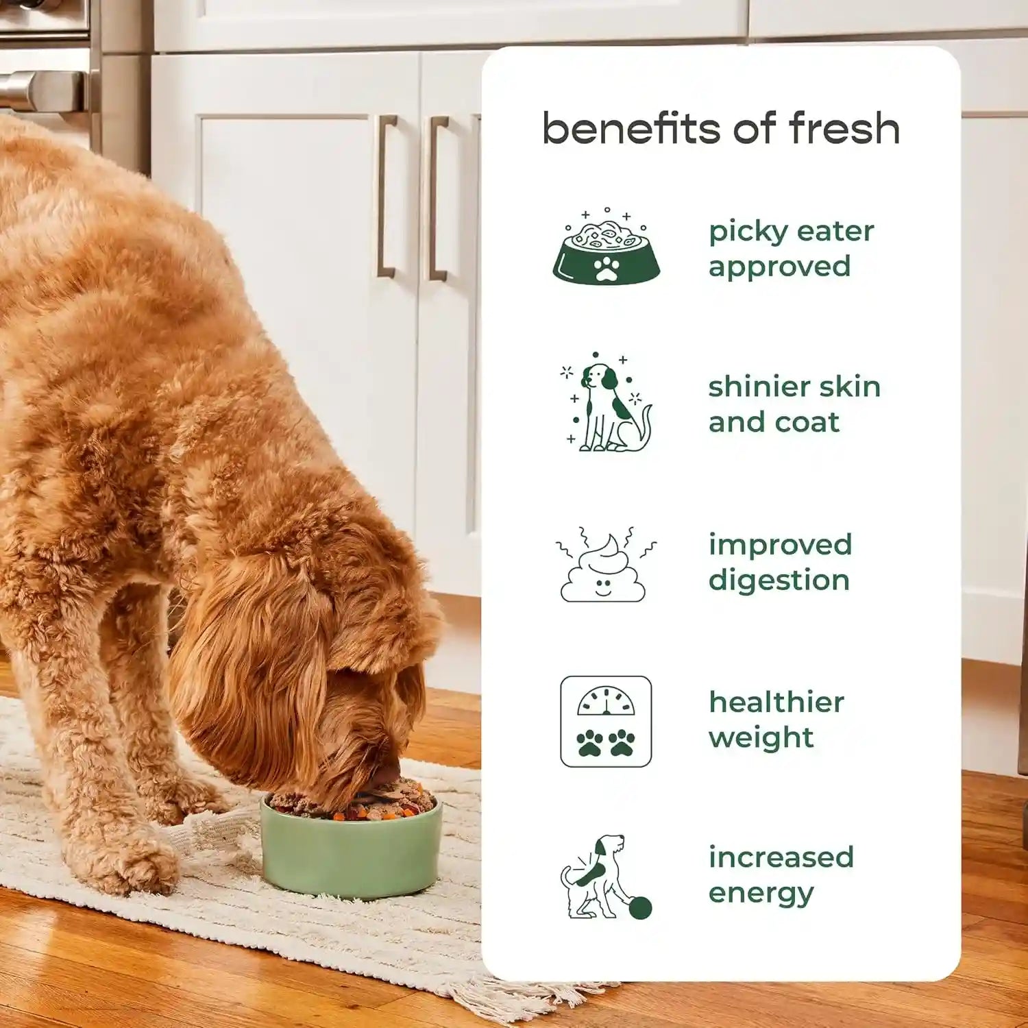 freshpet-fresh-dog-food-slice-serve-roll-tender-chicken-recipe-6-lb