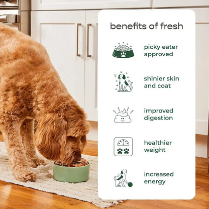 Freshpet Fresh Dog Food, Slice & Serve Roll, Tender Chicken Recipe, 6 Lb.7