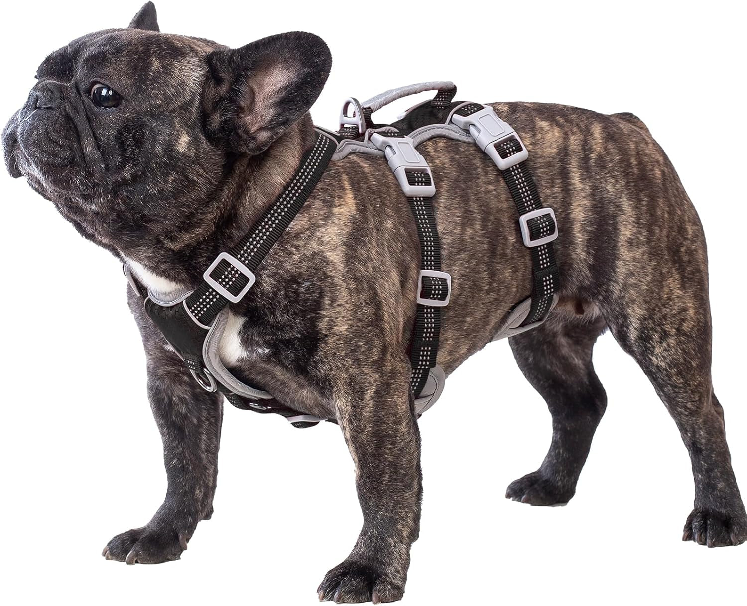 huntboo-escape-proof-dog-harness-escape-artist-harness-reflective-harness-with-padded-handle-breathable-durable-adjustable-vest-for-medium-dogs-walking-training-and-running-gear-blue-m