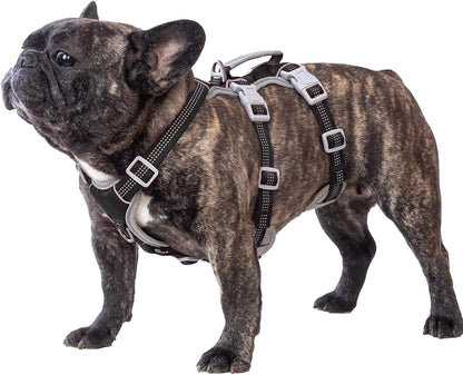 Huntboo Escape Proof Dog Harness, Escape Artist Harness, Reflective Harness with Padded Handle, Breathable, Durable, Adjustable Vest for Medium Dogs Walking, Training, and Running Gear (Blue, M)7