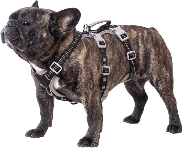 Huntboo Escape Proof Dog Harness, Escape Artist Harness, Reflective Harness with Padded Handle, Breathable, Durable, Adjustable Vest for Medium Dogs Walking, Training, and Running Gear (Blue, M)7