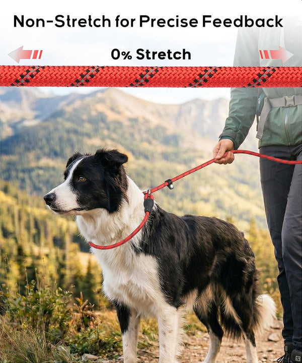 Tagme Slip Lead for Dogs, No Pull Training Leash, Padded Handle (Hot Pink) | Braided Climbing Rope, Reflective Stitching, 6 Ft, Fits Small to Large Dogs up to 250 Lbs, Cushioned Grip, No Leash Burn8