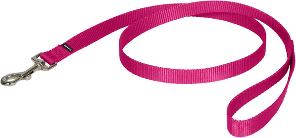 Petsafe Nylon Dog Leash - Strong, Durable, Traditional Style Leash with Easy to Use Bolt Snap - 3/8 In. X 6 Ft., Black | Durable Nylon Leash with Easy On/Off Bolt Snap Hook, Pairs Perfectly with Easy Walk Harness and Gentle Leader Headcollar13
