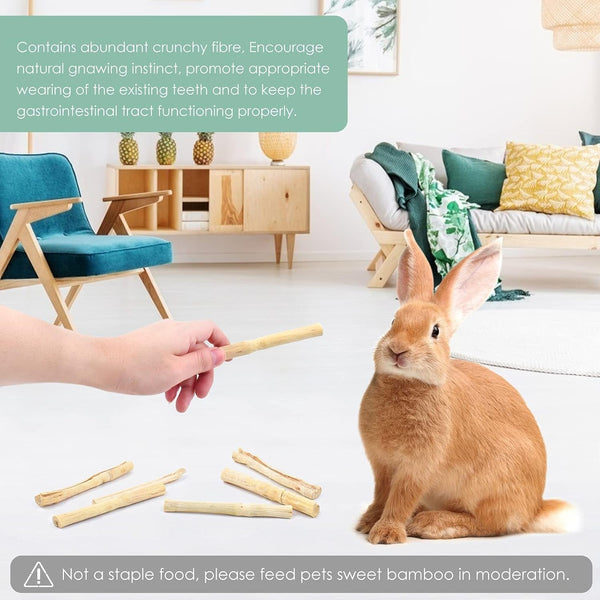 Bissap 250G/0.5Ib Sweet Bamboo Chew Sticks for Rabbits, Bunny Molar Treats Snack for Small Animals Hamster Chinchilla Guinea Pigs Rabbit Squirrel Natural Teeth Grinding Toys4