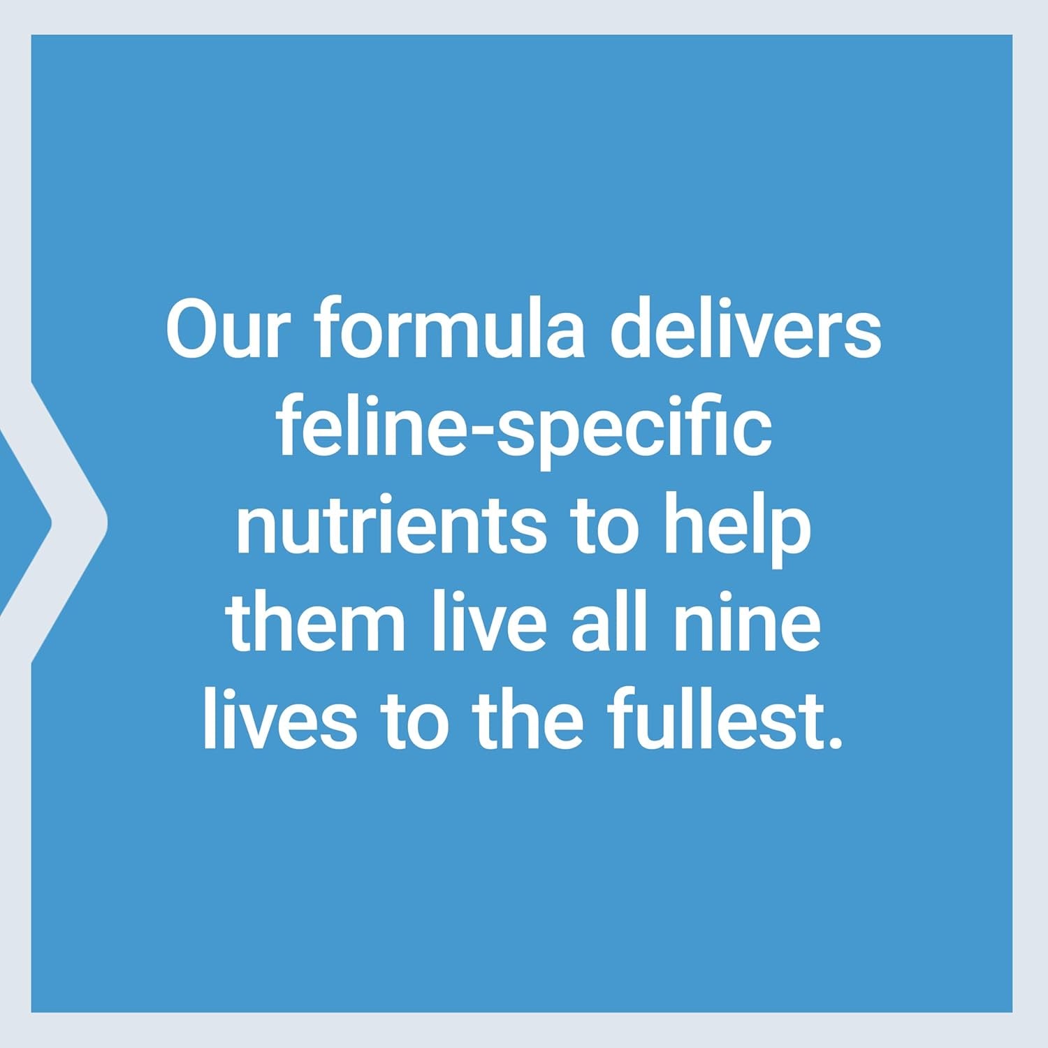 life-extension-cat-mix-cat-food-supplements-heart-health-probiotics-l-arginine-taurine-b12-folic-acid-vitamin-c-vitamin-e-rosemary-nutrient-absorption-gluten-free-non-gmo-85-servings-with-probiotics-l-arginine-taurine-b12-folic-acid-vitamin-c-e-rosemary-for-heart-health-nutrient-absorption