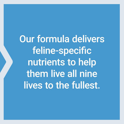 Life Extension Cat Mix, Cat Food Supplements, Heart Health, Probiotics, L-Arginine, Taurine, B12, Folic Acid, Vitamin C, Vitamin E, Rosemary, Nutrient Absorption, Gluten-Free, Non-Gmo, 85 Servings | with Probiotics, L-Arginine, Taurine, B12, Folic Acid, Vitamin C & E & Rosemary for Heart Health & Nutrient Absorption7