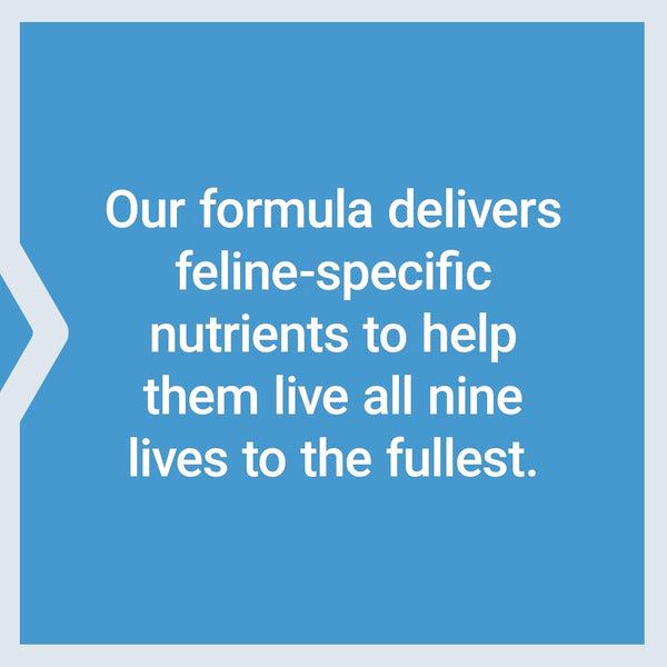 Life Extension Cat Mix, Cat Food Supplements, Heart Health, Probiotics, L-Arginine, Taurine, B12, Folic Acid, Vitamin C, Vitamin E, Rosemary, Nutrient Absorption, Gluten-Free, Non-Gmo, 85 Servings | with Probiotics, L-Arginine, Taurine, B12, Folic Acid, Vitamin C & E & Rosemary for Heart Health & Nutrient Absorption7