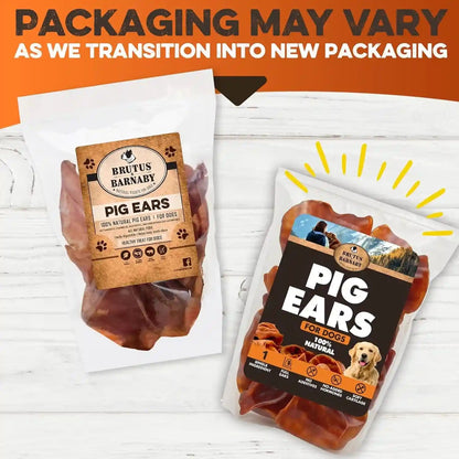 BRUTUS & BARNABY Whole Pig Ears for Dogs, 12 Ct. – All-Natural Single Ingredient Dog Chews, Slow Cooked & Fully Digestible Rawhide Alternative2