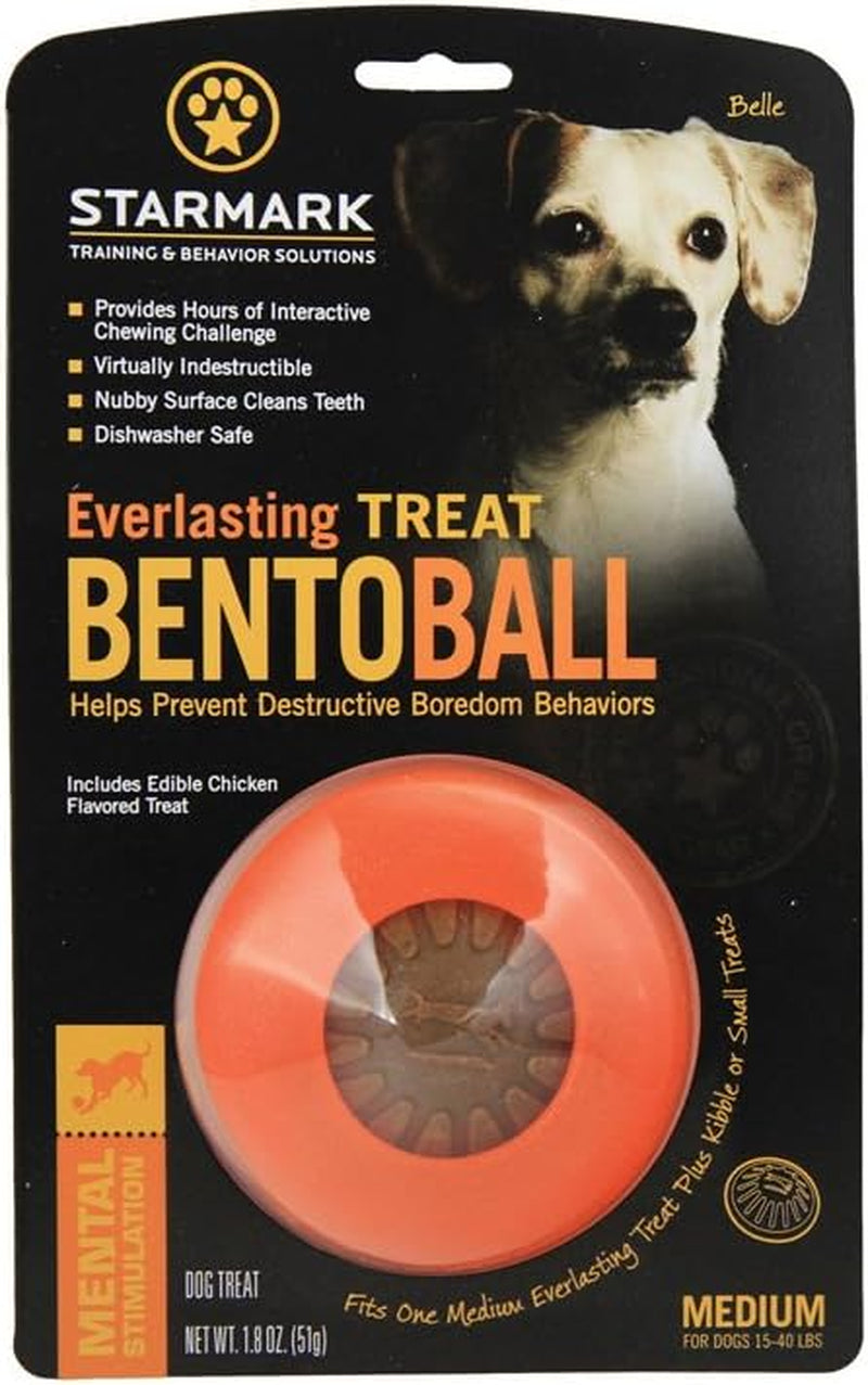 starmark-everlasting-treat-bento-ball-tough-dog-chew-toy-large