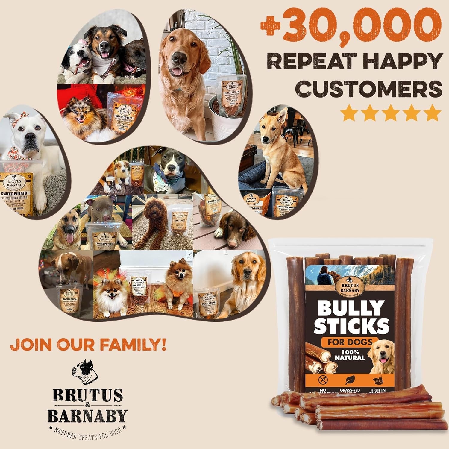 brutus-barnaby-bully-sticks-for-small-medium-large-dogs-6-inch-12-ct-long-lasting-thick-grass-fed-beef-pizzle-chew-treats-odor-free-and-rawhide-free-great-for-aggressive-chewers