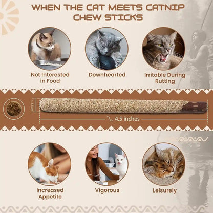 HUPA Cat Chew Sticks | Anxiety Relief & Digestive Support, Kitten Teething Chews, Cat Dental Chews | Natural Catnip Teething for Indoor Cats, Energetic Chew for All Ages & Breeds | 6 Sticks2