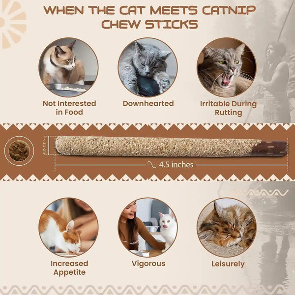 HUPA Cat Chew Sticks | Anxiety Relief & Digestive Support, Kitten Teething Chews, Cat Dental Chews | Natural Catnip Teething for Indoor Cats, Energetic Chew for All Ages & Breeds | 6 Sticks2