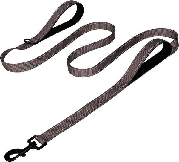 Joytale Reflective Dog Leash for Medium & Large Dogs, 6 FT X 1", Black | Heavy Duty Nylon Webbing, Padded Handle for Comfort, Visible at Night, for Walking & Training24