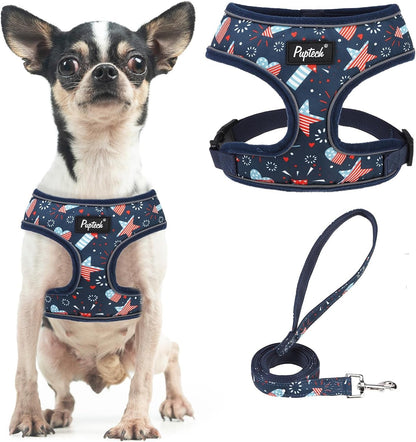 PUPTECK Soft Mesh Dog Harness Small Sized and Leash Set Pet Puppy Cat Comfort Padded Vest No Pull Harnesses, Beige, S93
