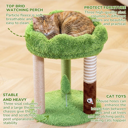 WOOCHPET 20 Inch Small Cat Tree for Indoor Cats and Kittens, Cat Tower with 3 Sisal Scratching Posts, Removable Washable Perch Bed, Hanging Toy Ball, Compact Cat Condo for Small Spaces6
