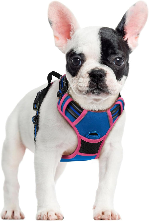 Rabbitgoo Dog Harness, No Pull for Large Dogs with 2 Leash Clips, Pet Vest | No Choke with Handle, Adjustable Soft Padded, Reflective, Easy Control for Walking, Black, Large11