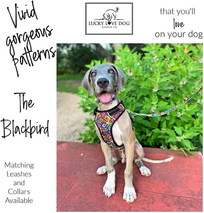 Lucky Love Dog No Pull Dog Harness, Adjustable and Easy to Walk, Cute Patterned Harness for Medium Male & Female Dogs - Blackbird, Medium2