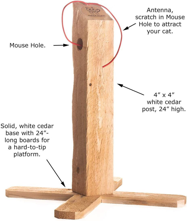 Cat Scratching Post-24 Cedar Post2