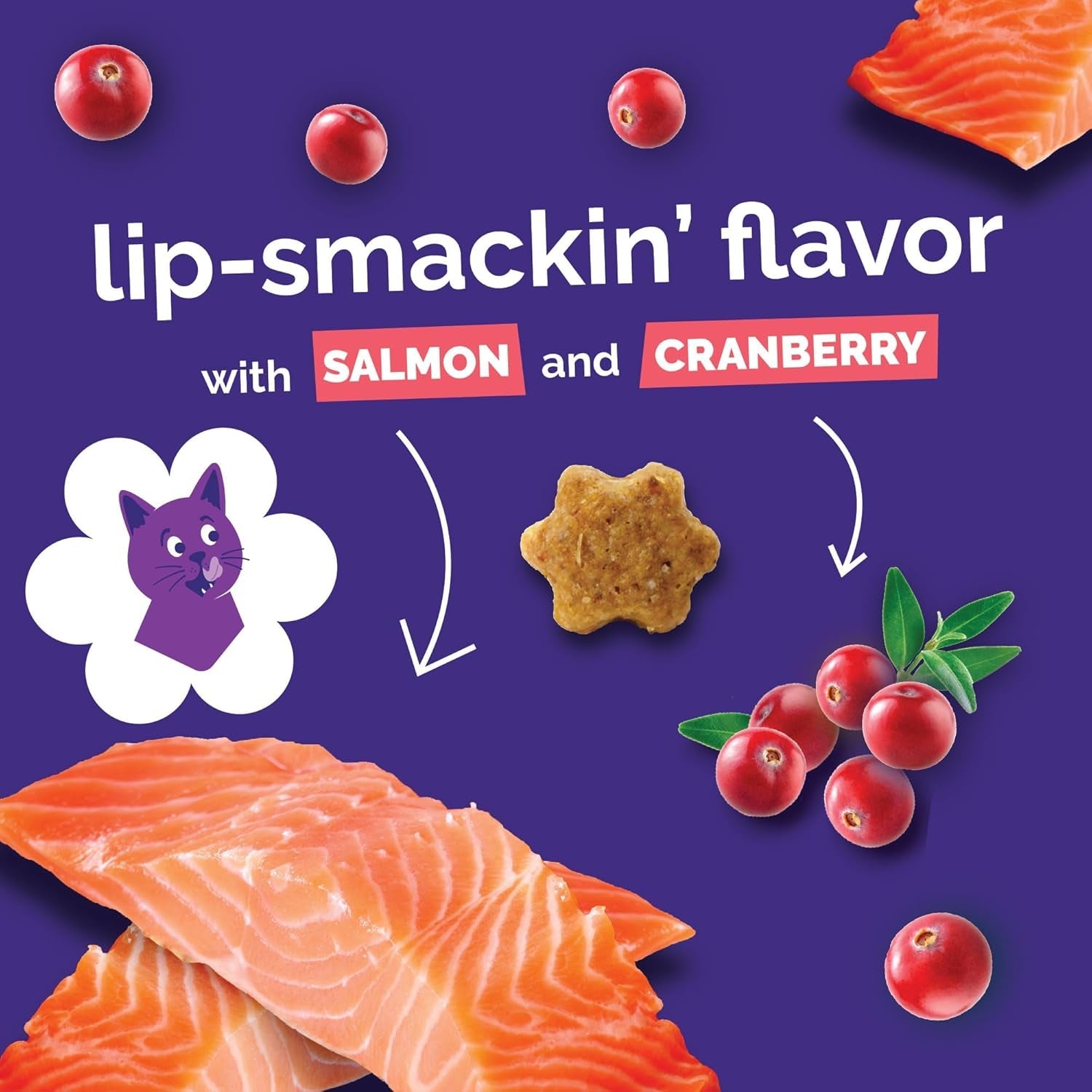 fruitables-cat-treats-crunchy-salmon-tuna-chicken-2-5-oz-3-pk-low-calorie-crunchy-training-biscuits-with-pumpkin-superfoods-wheat-corn-soy-free-usa-made
