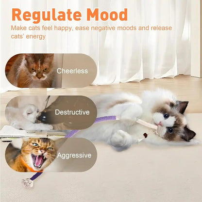 TEAWOO Cat Toys Chew Ropes 3Pcs with Natural Catnip, Safe Teeth Cleaning Toy for Indoor Kittens, Interactive Cat Kitty Toys for All Breeds (27.56 Inches, 3 Bags of Catnip Included)6