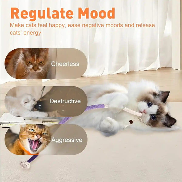 TEAWOO Cat Toys Chew Ropes 3Pcs with Natural Catnip, Safe Teeth Cleaning Toy for Indoor Kittens, Interactive Cat Kitty Toys for All Breeds (27.56 Inches, 3 Bags of Catnip Included)6