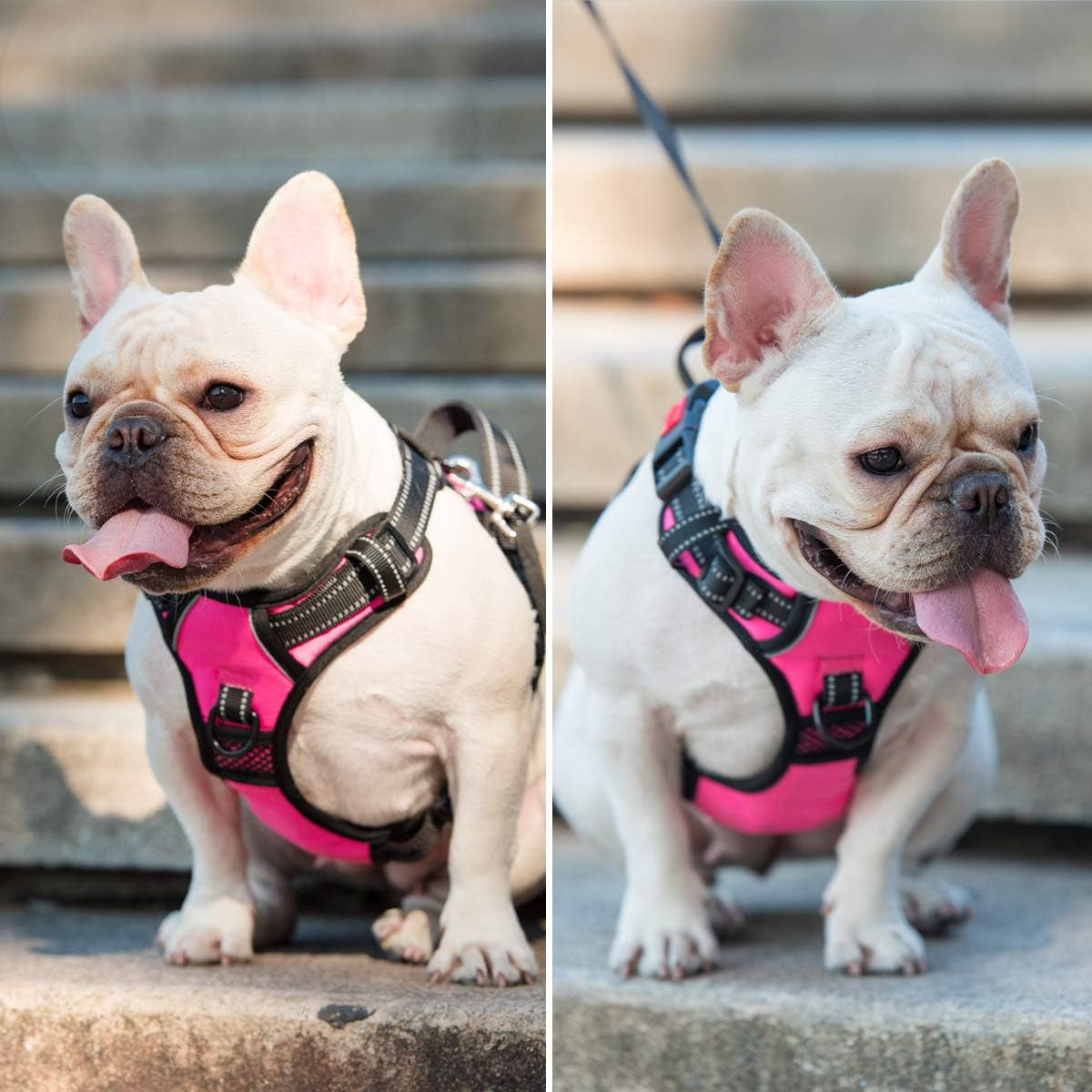 poypet-no-pull-dog-harness-no-choke-front-lead-dog-reflective-harness-adjustable-soft-padded-pet-vest-with-easy-control-handle-for-small-to-large-dogspink-medium